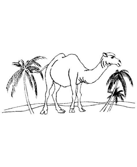 Desert Animals Coloring Pages - Coloring Home