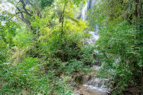 How to Hike the Gorman Falls Trail in Colorado Bend State Park