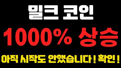 밀크코인 1000 상승 아직 시작도 안했습니다 확인 불독코인프리세일코인시바이누코인리플이더리움도지코인