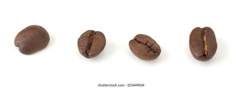 Coffee Beans Realistic Set Showing Various Stock Vector Royalty Free