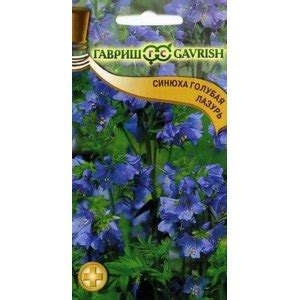 Семена Гавриш Синюха голубая Лазурь ( POLEMONIUM COERULEUM L.) | отзывы