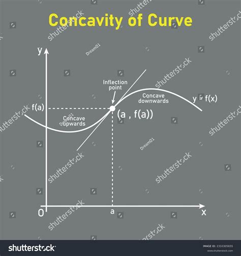 Concavity Of Curve Inflection Point Concave Royalty Free Stock