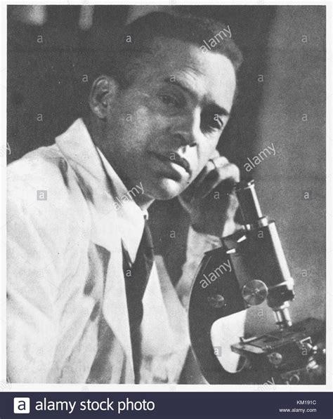 😂 Ernest everett just. Ernest Everett Just Biography at Black History