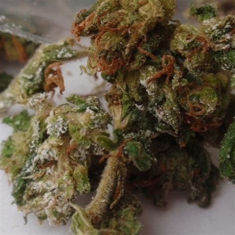 Laced Weed - What To Look For and Symptoms