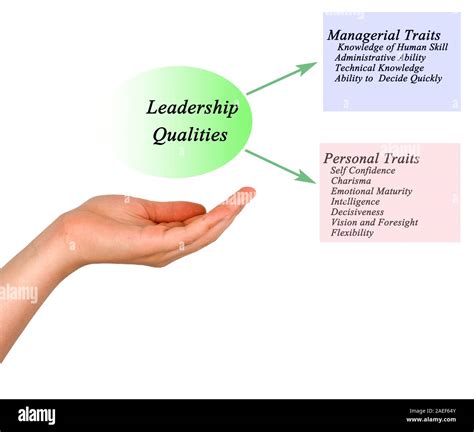 Diagram of Leadership Qualities Stock Photo - Alamy