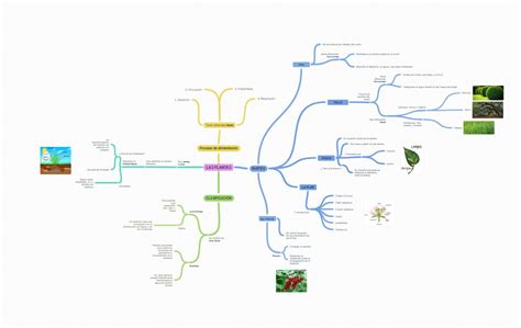 Los mejores mapas mentales digitales para el aula - GlobalNET Solutions