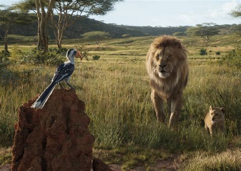 Barry Jenkins' The Lion King prequel casts Aaron Pierre as Mufasa and ...