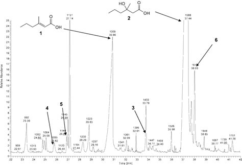 Gcms Analysis Of Hydrolyzed Axilla Secretions The Count Gcms