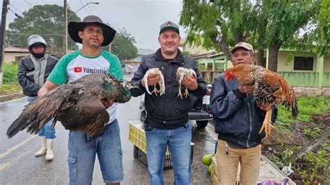 VANIO DA FEIRA DAS GALINHAS REGISTRANDO AS NOVIDADES DE DOIS RIACHOS AL