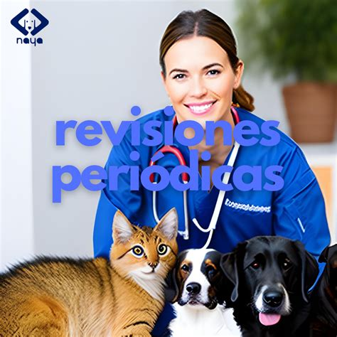 La Importancia de las Revisiones Periódicas para tu Mascota Naya