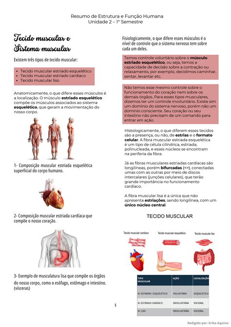 Solution Anatomia Resumo Sobre Tecido E Sistema Muscular Studypool