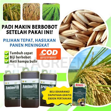 Jual Alfagreen Pupuk Organik Cair Poc Tanaman Buah Pemacu Bunga Dan