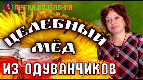 Целебный мед из Одуванчиков, как приготовить мед из Одуванчиков ...