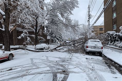 Winter 2020-21 Is Snowiest in 8-Years for Denver, CO and More Snow Is ...