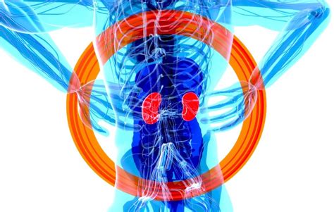 15 Symptoms Of Kidney Disease That You Must Be Aware Of