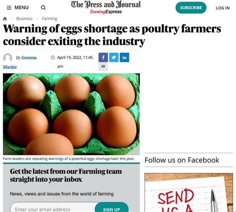 Warning Of Eggs Shortage As Poultry Farmers Consider Exiting The