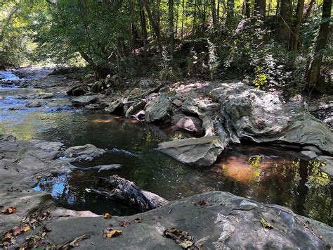 EcoAddendum 3.0Grove Park Stewardship for Volunteers