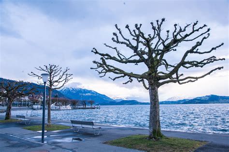 Discover Zug with Switzerland Tour: Old Town, Lake Zug, Zytturm Clock Tower