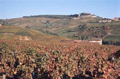 Photographes en Rhône Alpes Paysage du Beaujolais Rhône