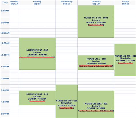 Nursing World: Typical Nursing School Schedule