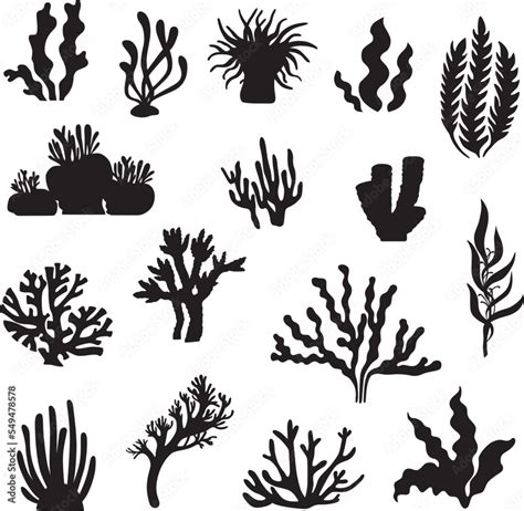 corals and seaweed silhouette clip art Stock Vector | Adobe Stock