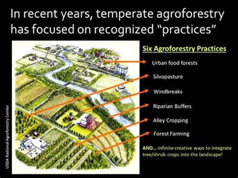 Introduction to Agroforestry - YouTube