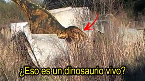 Dinosaurio REAL es Captado en VÍDEO Cámara de Seguridad Graba un