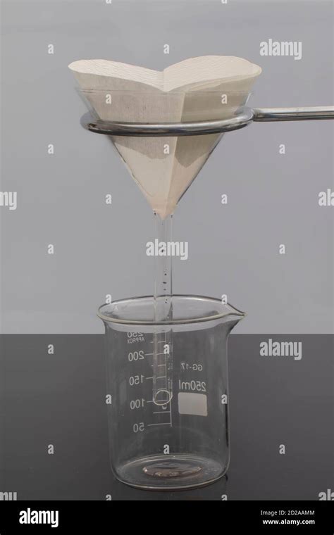 Filter Paper In Laboratory Scientists Are Chemical Filtration By