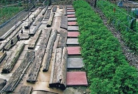 Умные грядки Курдюмова: как правильно сделать ленивый огород | Wood