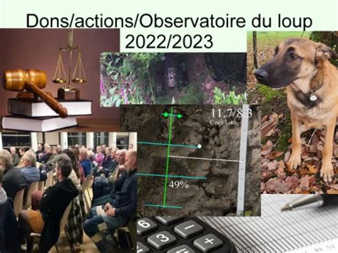 observatoire du loup deplacement du loup en france
