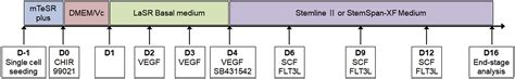 Cell Press Star Protocols