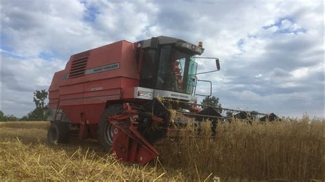 Massey Ferguson 38 Combine Harvester YouTube