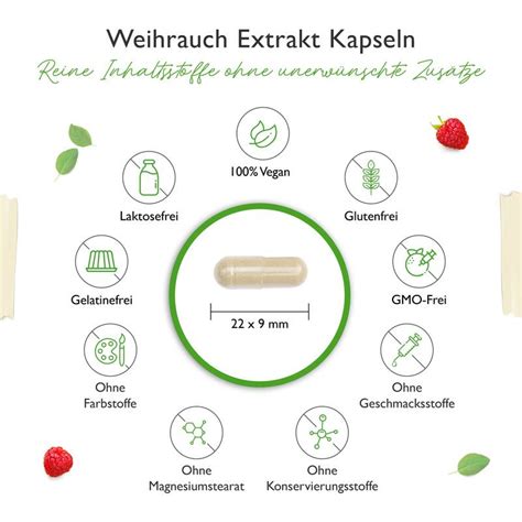 Berberin Hcl Intenso Kapseln Mit Mg Vegan You Nature