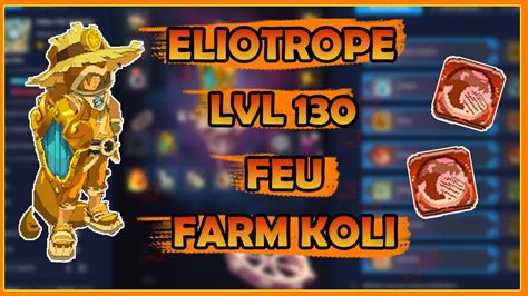 DOFUS FARM KOLI Elio Feu 130 Maj 2 59 Cette EliotRope Casse Des