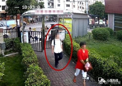 广东顺德抓获奇葩盗贼！男子混入迎亲车队“搞点钱花”公益凤凰网