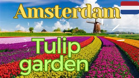 Worlds Biggest Tulip Garden In Amsterdam Keukenhof Garden