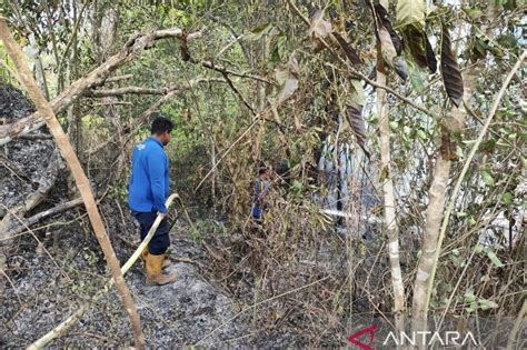 Bpba Hektare Lahan Di Aceh Besar Terbakar Di Puncak Kemarau