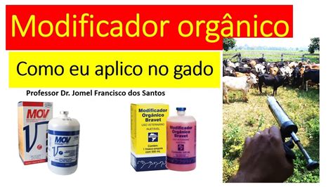 Como Aplicar Modificador Orgânico No Gado YouTube