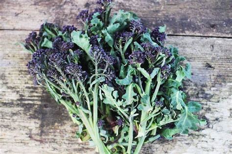 Purple Sprouting Broccoli - Veg In A Box