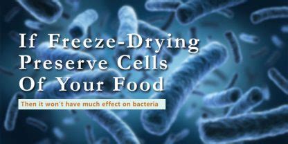 Does Freeze Drying Kill Bacteria? | Freeze Dried Guide