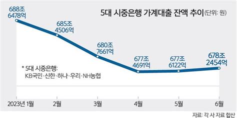 6월 5대 은행 주담대 1조7000억원↑가계대출 우려 목소리 네이트 뉴스