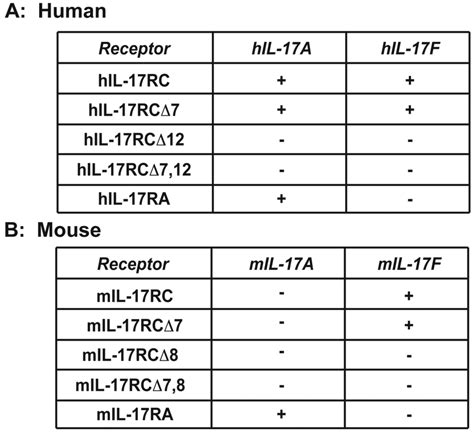 Cytokine Binding Capacities Of Human And Murine Il 17ra And Il 17rc