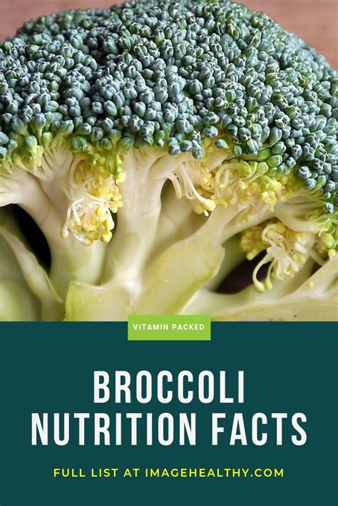 Broccoli Nutrition Facts That Are Usefull To Know Imagehealthy