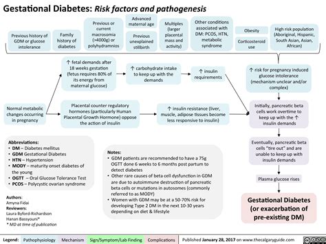 Gestational Diabetes Risk Factors And Pathogenesis Calgary Guide