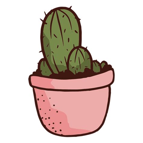 Maceta Planta Cactus Ilustraci N Descargar Png Svg Transparente