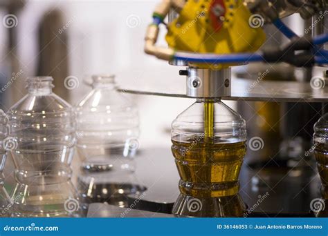 Olive Oil Factory Olive Production Stock Image Image Of Food