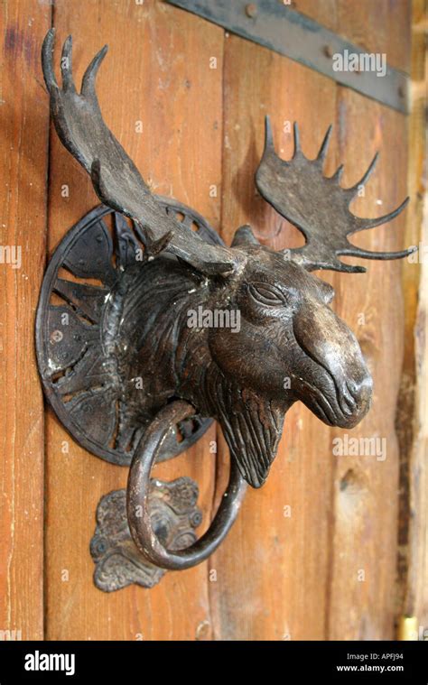 Moose Head Door Knocker High Resolution Stock Photography And Images