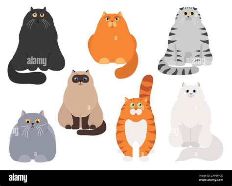 Katzen Poster Cartoon Cat Characters Kollektion Verschiedene Katzen