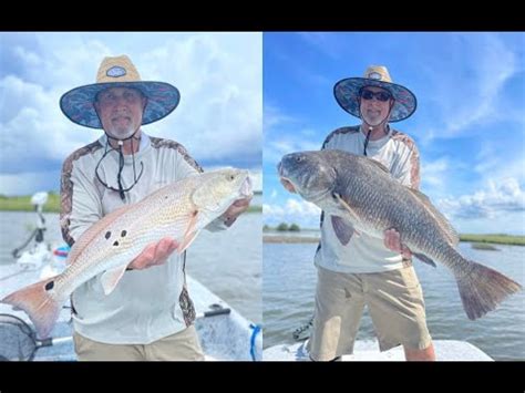 Yankeetown Redfish Snook Black Drum And Trout With Glen Youtube