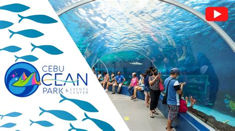 Cebu Ocean Park The Biggest Oceanarium In The Philippines Cebu